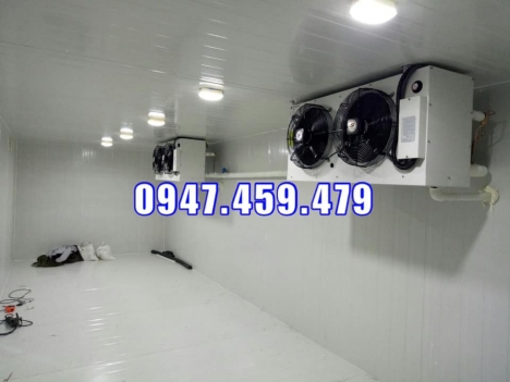 Thi công kho lạnh bảo quản thực phẩm, rau củ quả,....