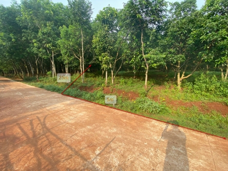 Cần bán gấp đất diện tích 126.9m² giá 330 triệu.