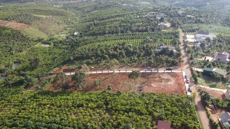 Chỉ 400 triệu sở hữu ngay lô đất thổ cư có sổ riêng tại Lộc Đức - Bảo Lâm . Ngay khu dân cư đông