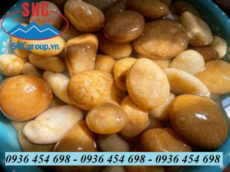 Sỏi vàng tự nhiên trang trí ban công, sân vườn