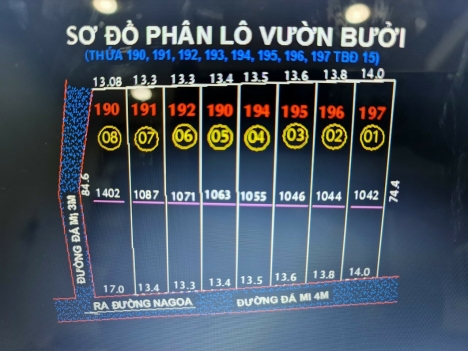 Suối nho Định Quán đất xào vườn bưởi , cơ hội đầu tư , nghỉ dưỡng sinh thái