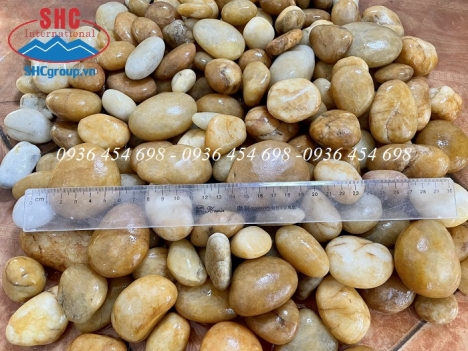 Sỏi vàng tự nhiên trang trí ban công, sân vườn