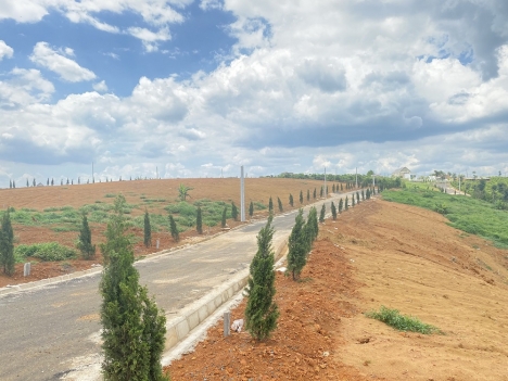 Bán lô đất 320m2 giá cực tốt cho nhà đầu tư . Sổ hồng riêng , thổ cư sẵn xây dựng tự do .