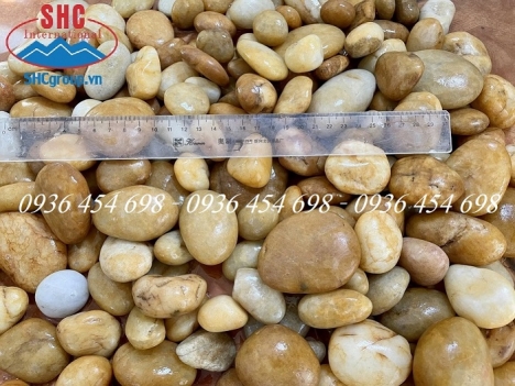 Sỏi vàng tự nhiên trang trí ban công, sân vườn