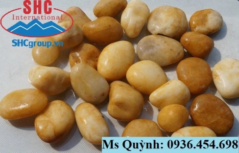 Sỏi vàng tự nhiên trang trí ban công, sân vườn