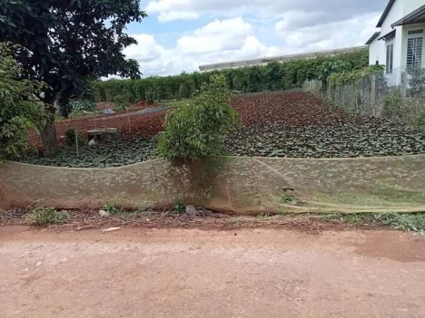 Bình Thạnh Đức trọng Lâm Đồng: 10 x 54, 100mtc. cách ql 27: 100 m, đất bằng, đường thông, khu dân