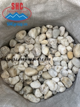 Sỏi trắng tự nhiên dùng trong trang trí - Công ty Sơn Hà