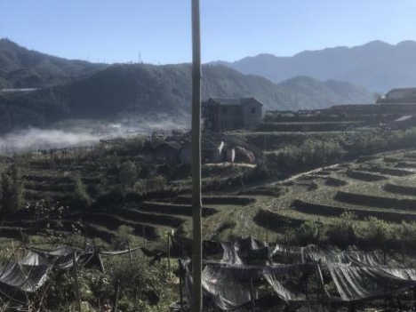 Giàng Tra,Tả Phìn, Sapa