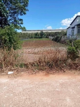 Bình Thạnh Đức trọng Lâm Đồng: 10 x 54, 100mtc. cách ql 27: 100 m, đất bằng, đường thông, khu dân