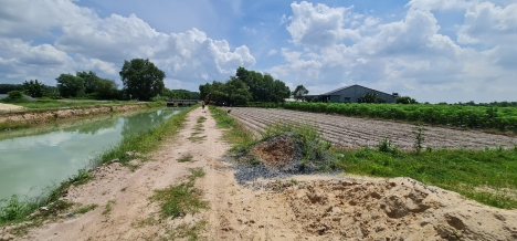 Bán đất Gia Tân Gia Lộc Trãng Bàng cách đường Hồ Chí Minh 50m