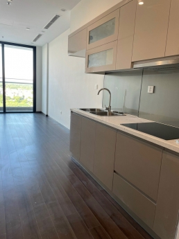 Cho thuê căn hộ 2 ngủ 2wc, đồ cơ bản + rèm cửa các phòng tại Symphony, Long Biên. S: 66m2. Giá: