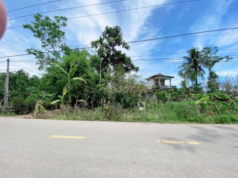 ĐẤT NỀN PHÂN LÔ F0 TÂN MỸ, 3.000 m2 - GIÁ RẺ NHẤT