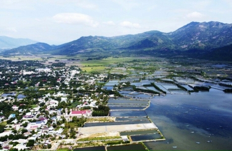 siêu phẩm cam hải tây , cam lâm , khánh hoà