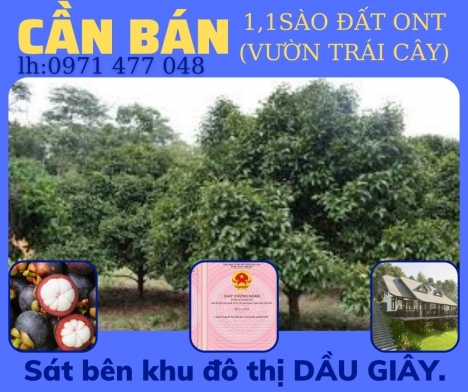 1135m ĐẤT ONT NHƯNG GIÁ CHỈ BẰNG 100M ĐẤT thổ cư.