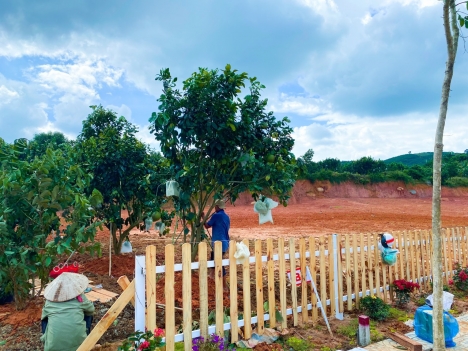 còn chờ gì nữa mà không đầu tư để được lãi suất 24% cùng với ck cao và tặng vàng 9999