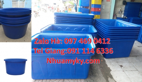 Thùng nhựa 1700 lít, thùng nhựa chữ nhật 1250l, Thau nhựa 3000l, Thùng nhựa 1000 lít,  thùng