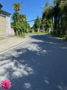 CẦN BÁN LÔ ĐẤT XAY BIỆT THỰ  PHƯỜNG 10 ĐÀ LẠT CẠNH TRƯỜNG CAO ĐẲNG SƯ PHẠM, GIÁ 25 TỶ