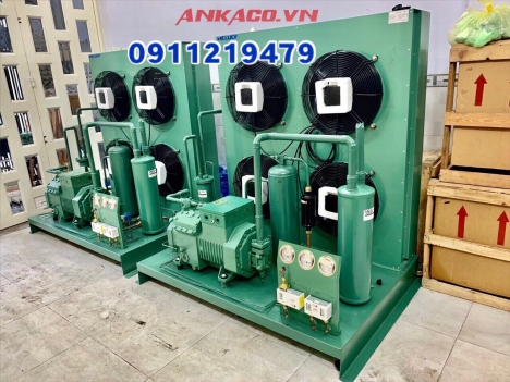 Nhập khẩu cụm máy nén Bitzer 15hp 4PES-15