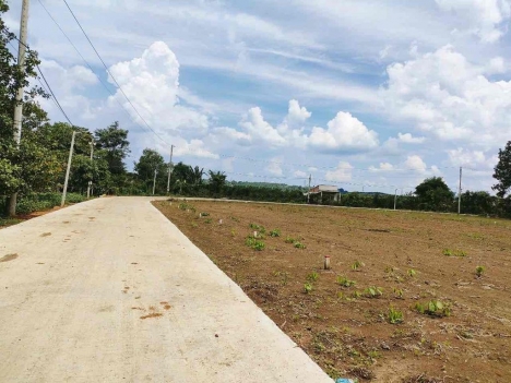 Em chính chủ cần bán nhanh 1228.5 m2 Đất ở thổ cư  giá 365tr.