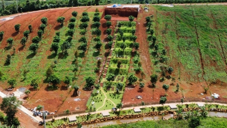 Dự án biệt thự nhà vườn Green Villa