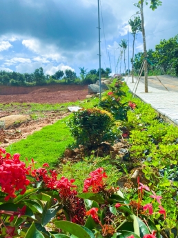 chủ đầu tư ra mắt khu dân cư nghỉ dưỡng tại xã Lộc Đức , cơ sở hạ tầng hoàn chỉnh,