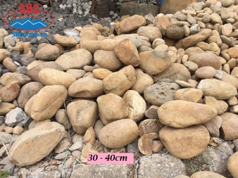 SỎI CUỘI SUỐI TRANG TRÍ