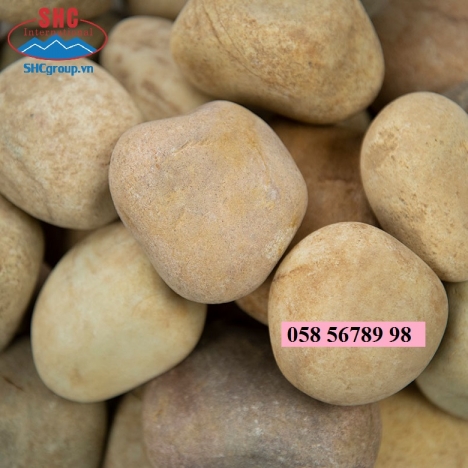 SỎI CUỘI SUỐI TRANG TRÍ