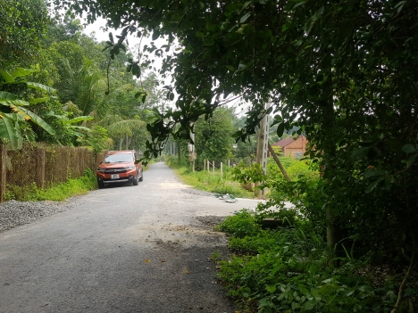bán đất đẹp cây da Hiệp Thạnh Gò Dầu khu dân cư New Town