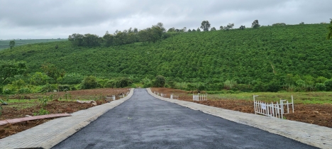 Bná lô đất xào Lộc Ngãi , full hồng. đường xe hơi