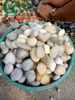 Sỏi Trắng Tự Nhiên Trang Trí Biệt Thự