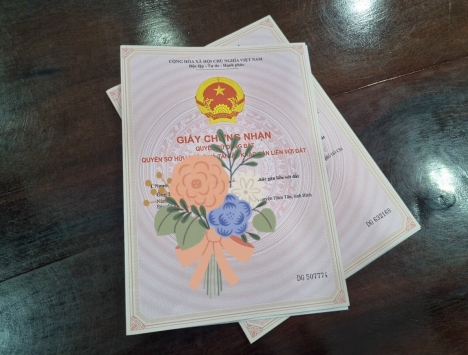 CẦN TIỀN CƯỚI VỢ CHO CON - BÁN GẤP 2 SÀO ĐẤT TẠI BÌNH PHƯỚC