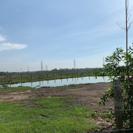 Đát vườn Phạm Thái Bường Nhơn Trạch giá rẻ