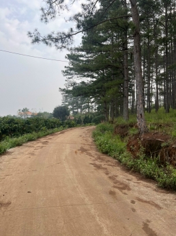 CẦN BÁN LÔ ĐẤT ĐẸP Ở TÀ NUNG TP. ĐÀ LẠT GIÁ 14 TỶ