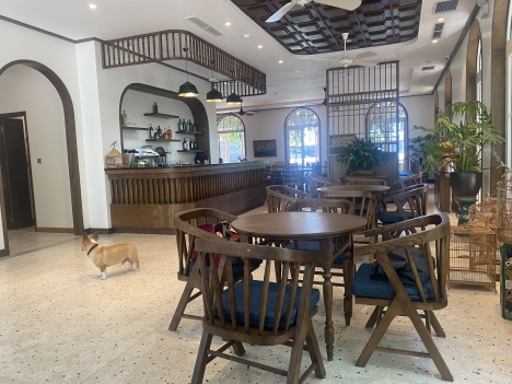 Chuyển nhượng Khách sạn Bãi Cháy cực đẹp rất gần bãi biển Bãi Cháy