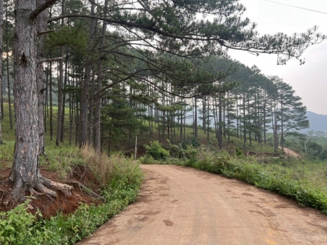 CẦN BÁN LÔ ĐẤT ĐẸP Ở TÀ NUNG TP. ĐÀ LẠT GIÁ 14 TỶ