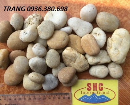 Sỏi vàng tự nhiên