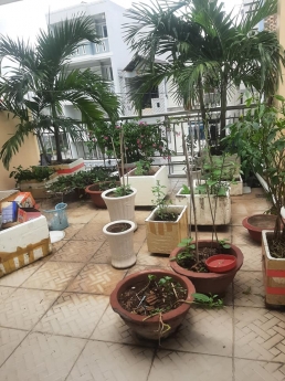 Cho thuê nhà đường Huỳnh Tấn Phát quận 7, hẻm xe hơi, nhà mới - Mr Hòa