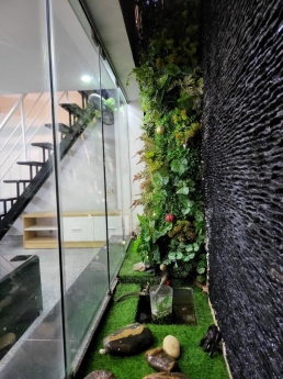 NHÀ ĐẸP DIỆN TÍCH LƠN SAU LƯNG MT ĐIỆN BIÊN PHỦ