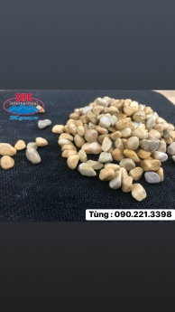 Sỏi tự nhiên giá rẻ tại Hà Nội