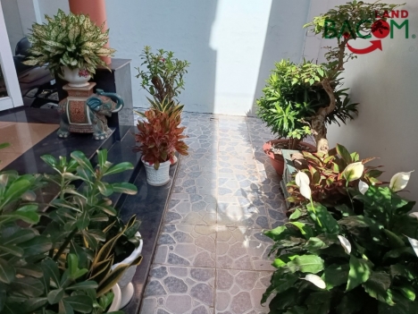 Bán nhà MẶT TIỀN kinh doanh đường Trương Định ngang 6m, SHR thổ cư 100%