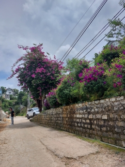 CẦN BÁN LÔ ĐẤT XÂY DỰNG Ở KE SANH PHƯỜNG 10 TP ĐÀ LẠT GIÁ 12,2 TỶ