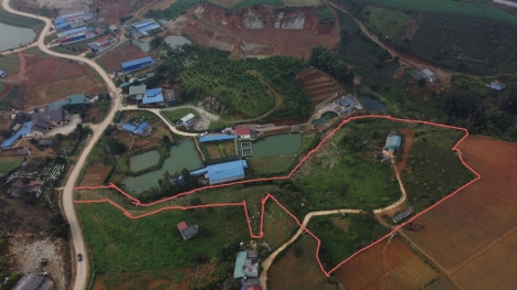 Mộc Châu- Đà Lạt của miên bắc,