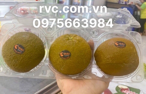 Hộp nhựa đựng 3 trái bảo quản trái cây an toàn và tiện lợi