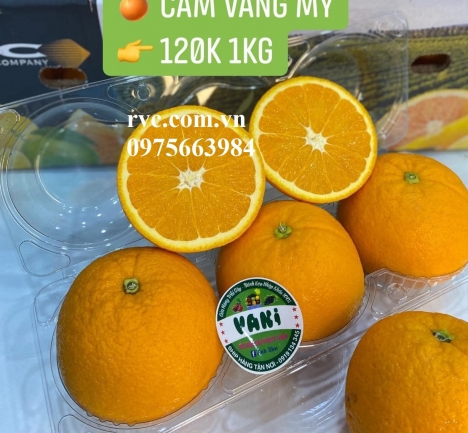 Hộp nhựa đựng 3 trái bảo quản trái cây an toàn và tiện lợi