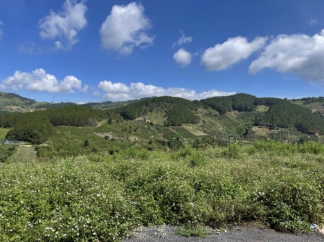 Càn bán lô đất đẹp ở xã Tà Nung TP. Đà Lạt giá chỉ có 2,5 tỷ