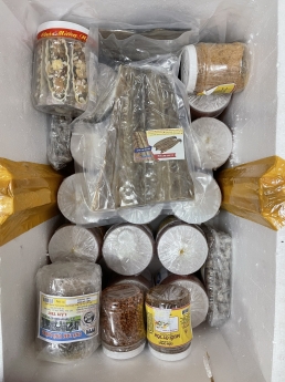 Vận Chuyển Quốc Tế Tiến Việt