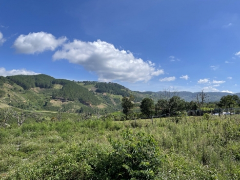 Càn bán lô đất đẹp ở xã Tà Nung TP. Đà Lạt giá chỉ có 2,5 tỷ