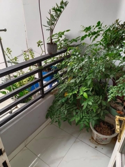 Bán nhà Hậu Giang quận 6 55m2 ngang 6m 2 tầng kiên cố nhỉnh 4 tỷ