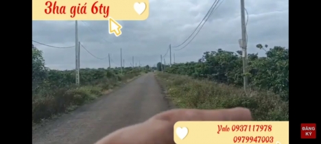 Bán 3ha đất rẫy tại xã Chư pơng, huyện Chư sê, Gia Lai.