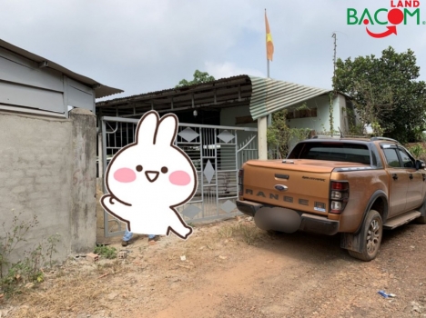 Bán trại heo 1327m2 SHR,Nằm Trong Cụm Công Nghiệp VLXD Tân An, Đường xe tải chỉ 2 tỷ